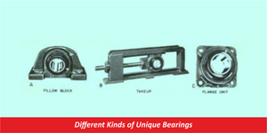 Different Kinds of Unique Bearings