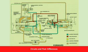 Circuits and Their Differences