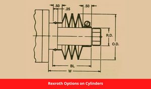 Rexroth Options on Cylinders