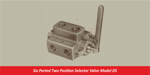 Six Ported Two Position Selector Valve Model DS