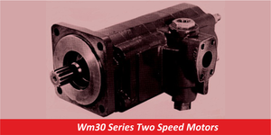 WM30 Series Two Speed Motors