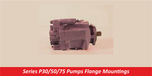 Series P30/50/75 Pumps Flange Mountings