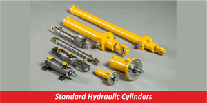 Standard Hydraulic Cylinders