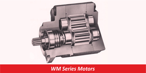 WM Series Motors